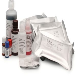 Hormone/Elisa Reagents